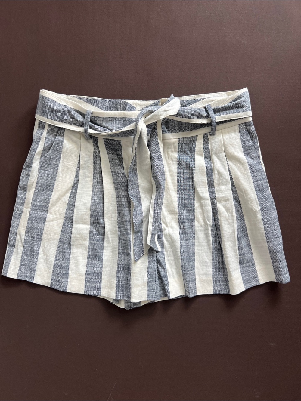 Ann Taylor Striped Blue and Cream Tie-Waist Women’s Shorts